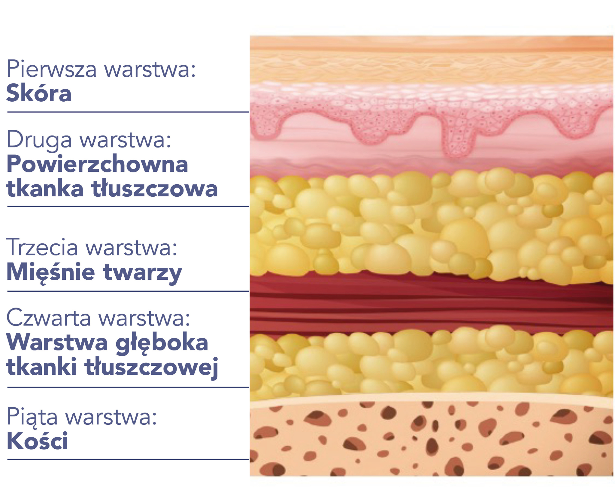 NIE TYLKO SKÓRA SIĘ STARZEJE